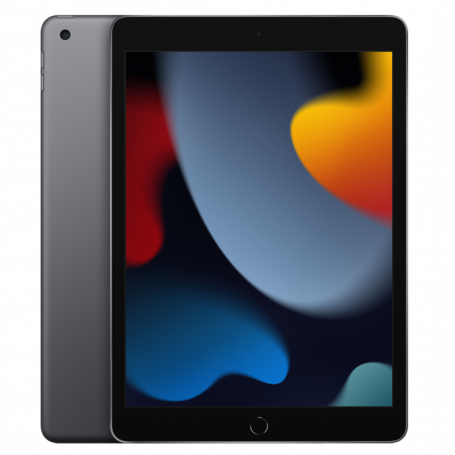 iPad 10.2 (9th Generation) 64 GB Cellular Grey - Grade AB